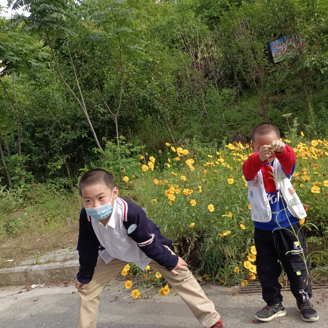 风轻花落梦深处