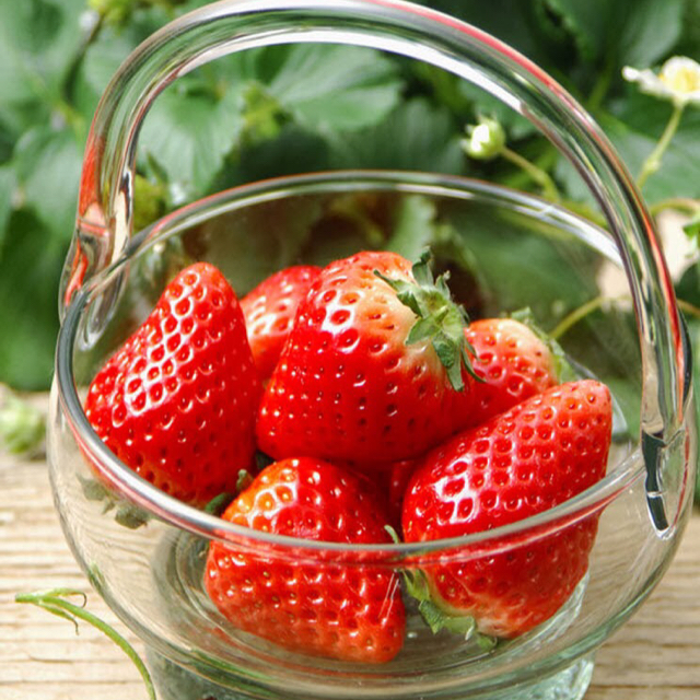 幽默的独角戏66