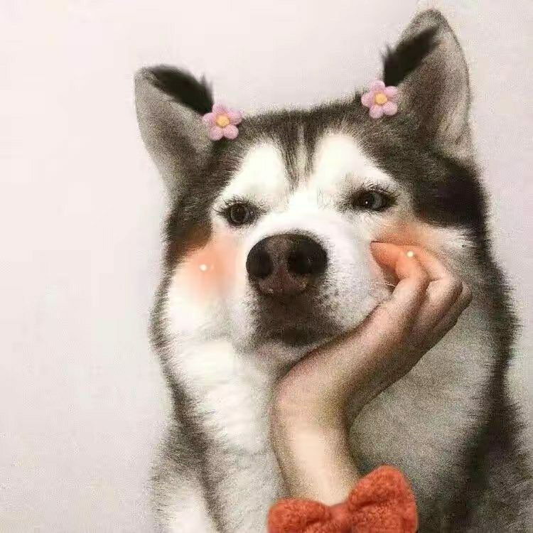 搞钱要紧呀妹子