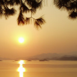 爱吃酒酿奶酪的海边