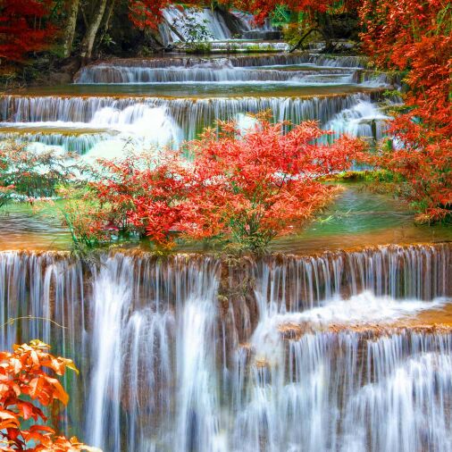 橙黄色的琉璃玉米