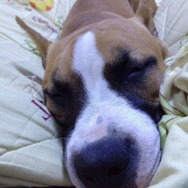 满天星星光点点