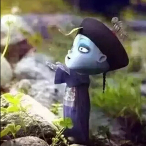 怎么做都是对的