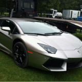 出售长白山特产鹿茸人参