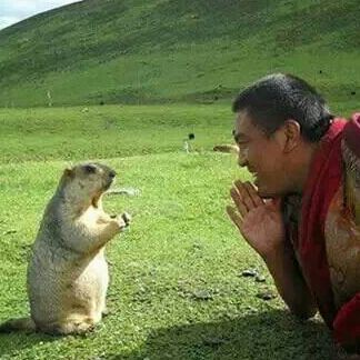 承载灵魂需要两个轮