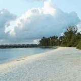 顺其自然开始31