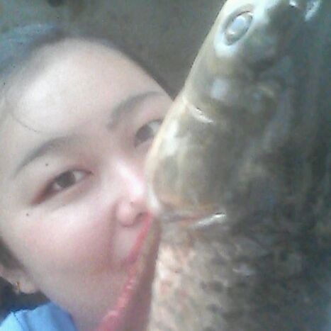 花开半夏秋未凉