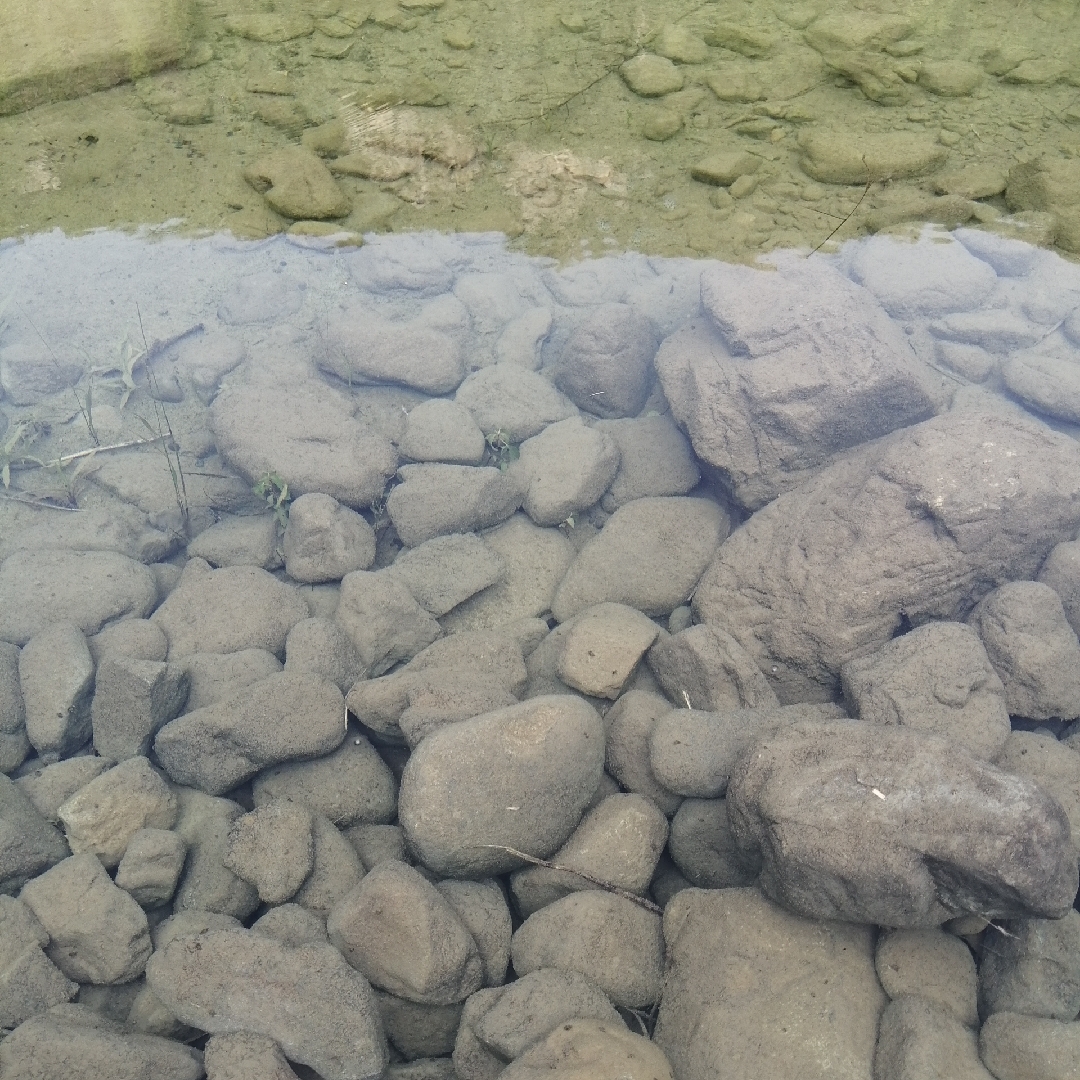 爱吃肉炒粉条的椰汁