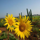 春天来了超会玩