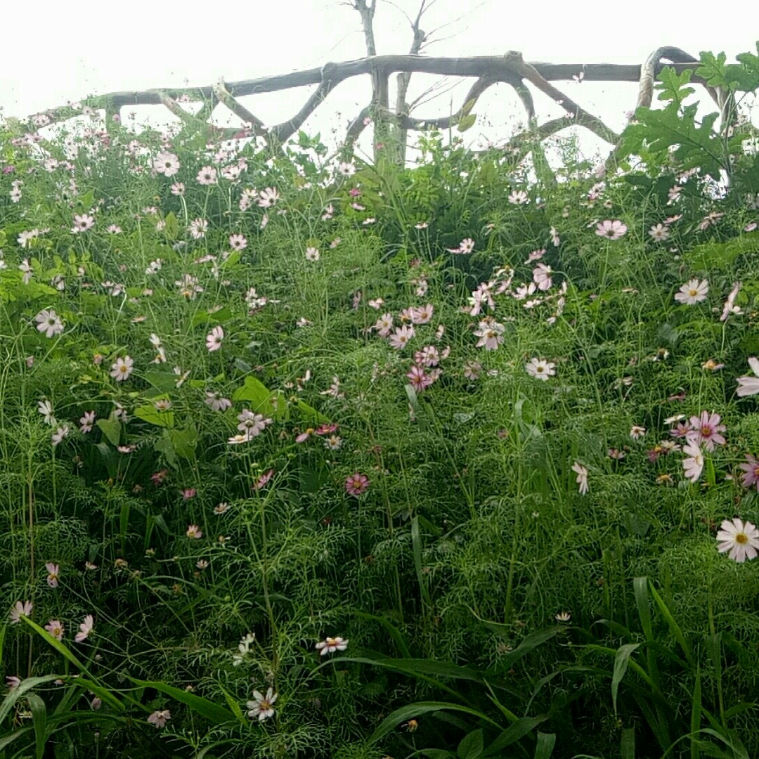 不知不觉很靠谱