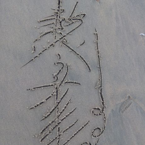 有抱负的乘客32