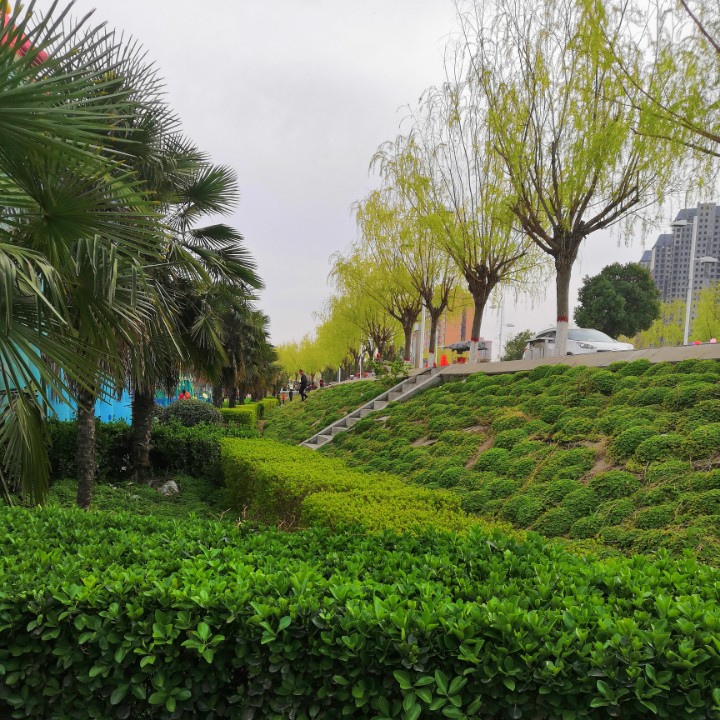 奋斗中的菲律宾