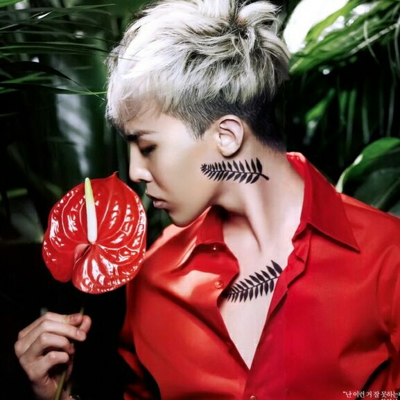 傲气de红苹果声依