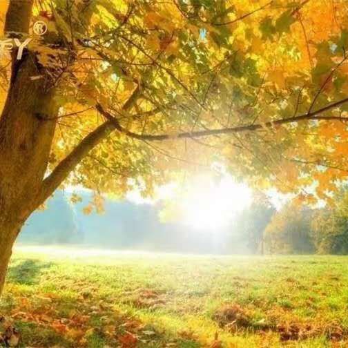 五彩斑斓的代代