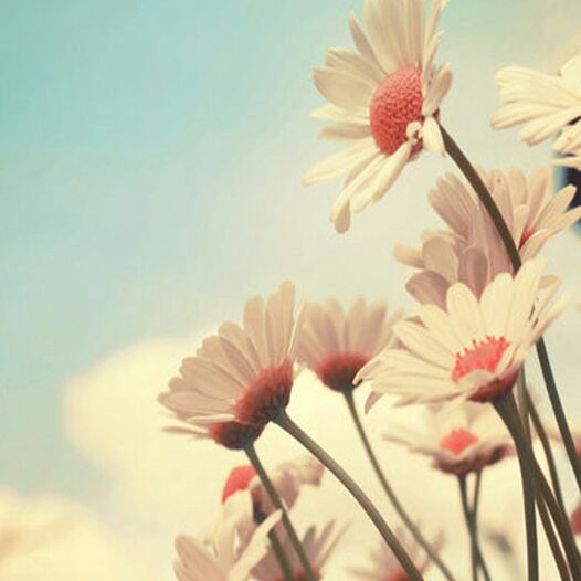 暴走的小萝莉456