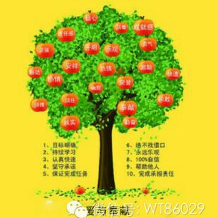 完美的啊咧咧33