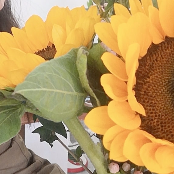 云想衣裳花想容成绩好