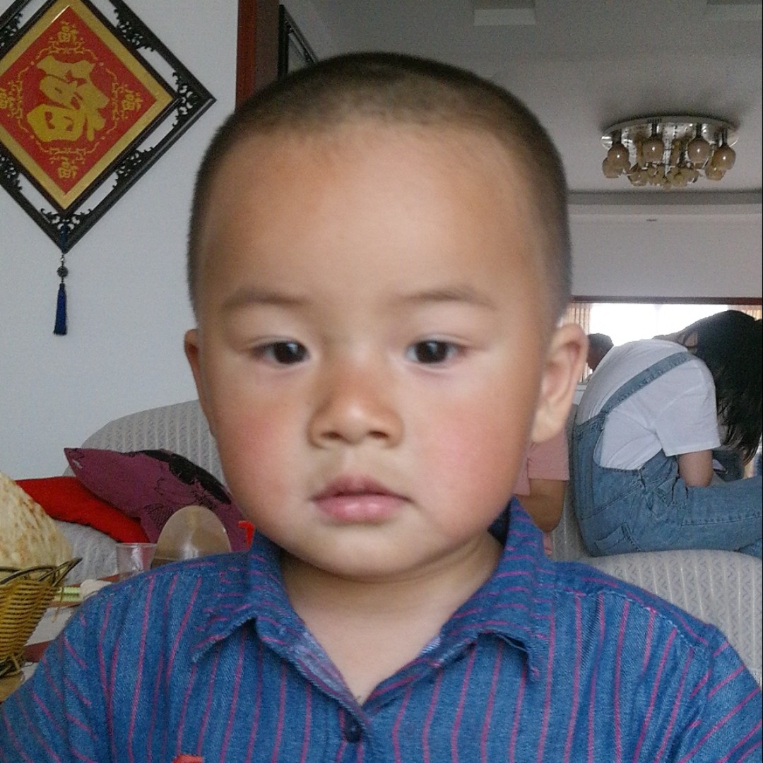 都是会飞的鱼666