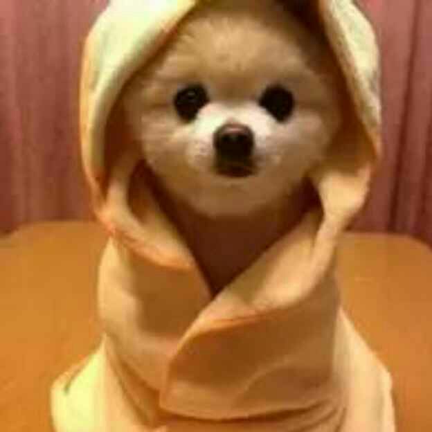 我，学习，向上