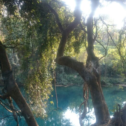 卖螺丝的钓鱼佬