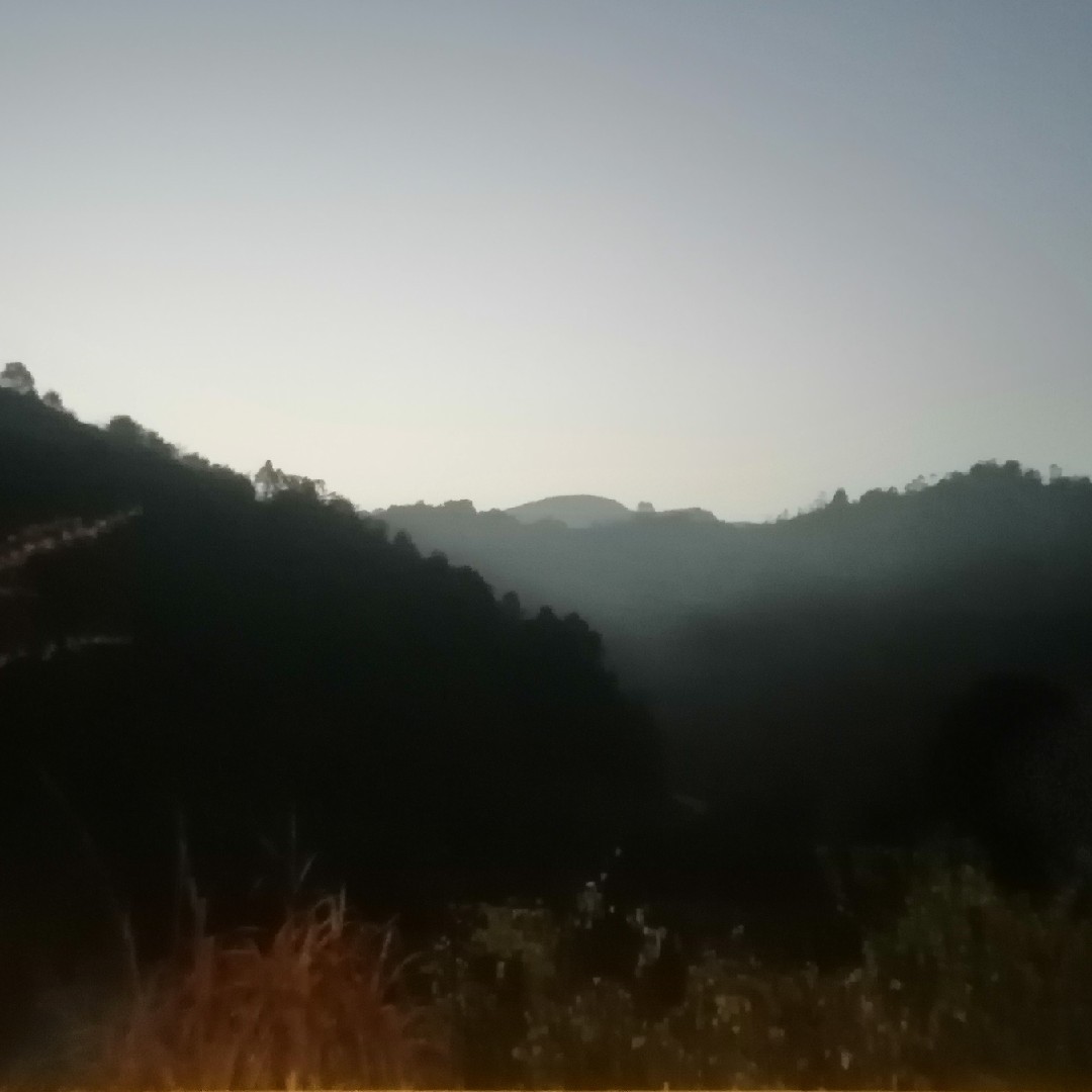 时尚fishion潮牌纺