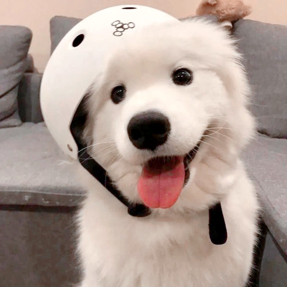 我的名字其实叫做安