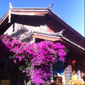 臭蛋的小坏蛋姐姐