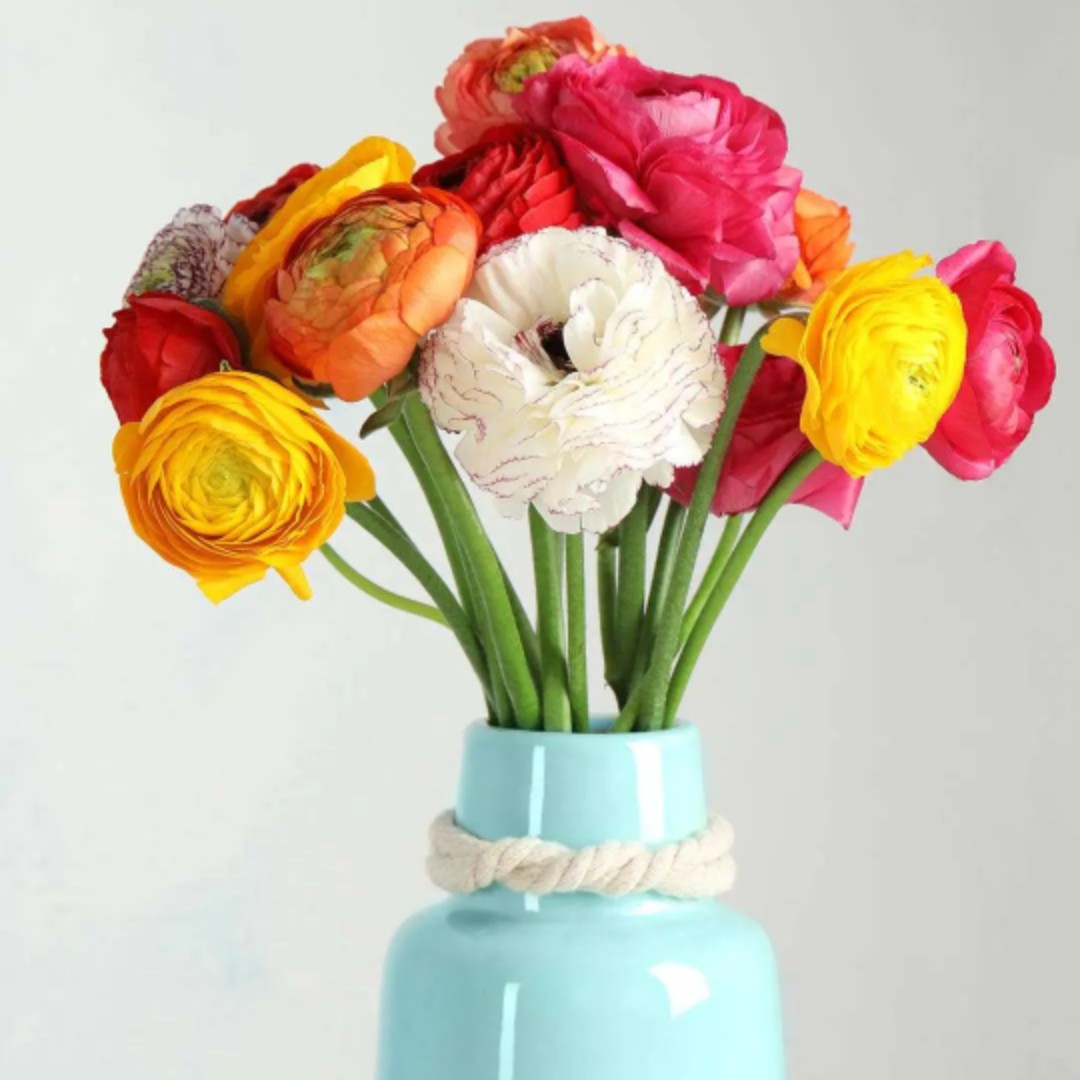 爱吃下酒毛豆的玉米