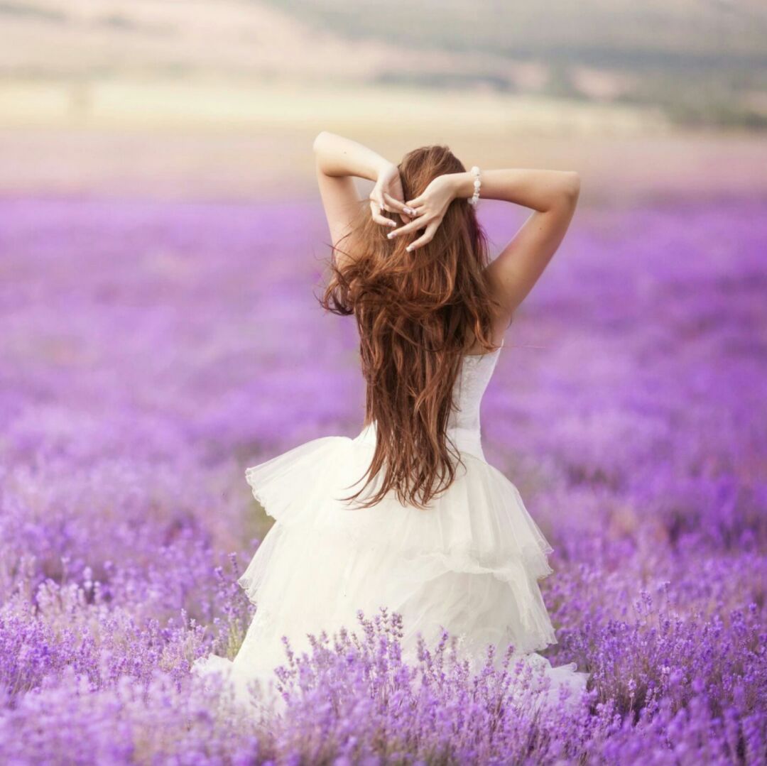 爱吃梅菜烧鸡的卡卡西