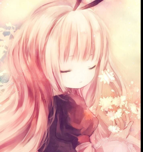 陈小小小小小凤