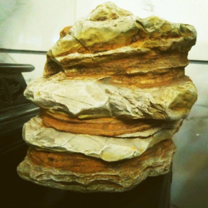 何国强(厦门顶级装饰公司)