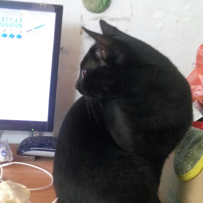 人生赢家。。灬