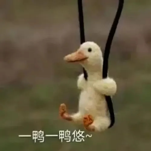 明媚少女宇宙无敌