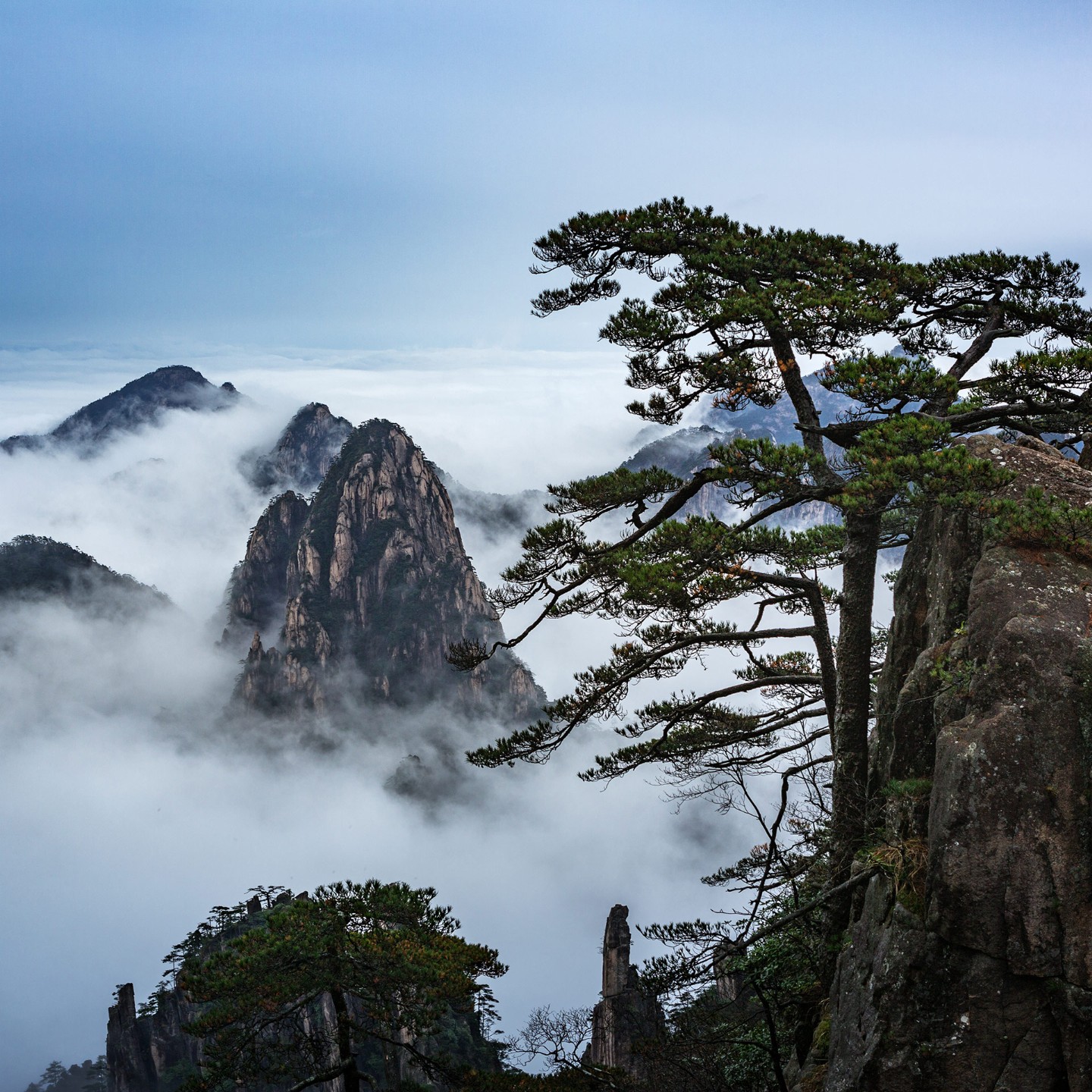 小新嘉宇有点甜