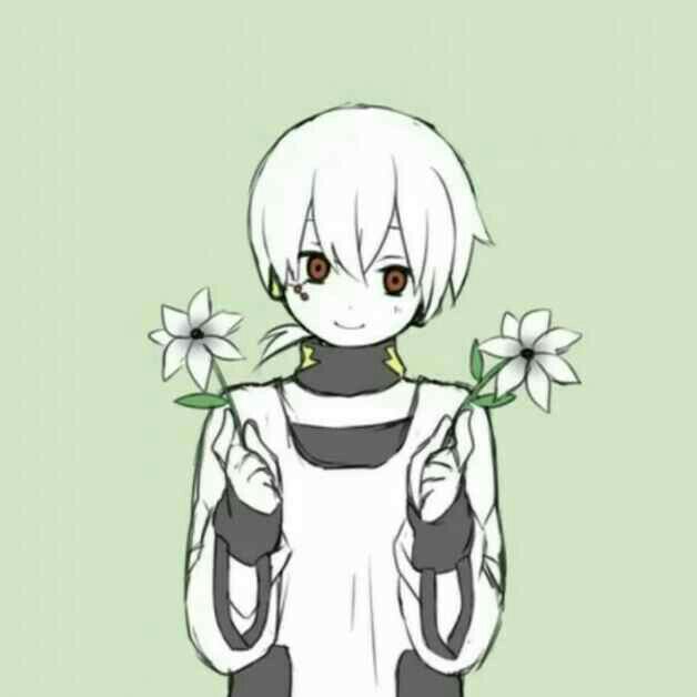 铁红色的灵芝虫草