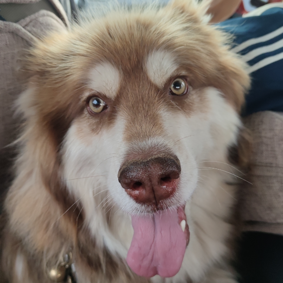 积极向上好青年