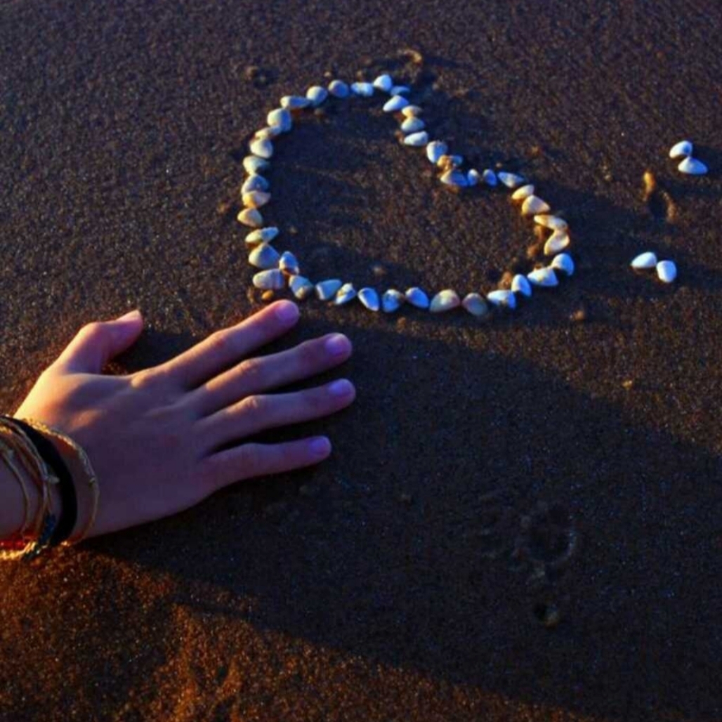 一个人的天空666666