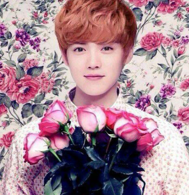 爱吃肉酿香菇的拿铁