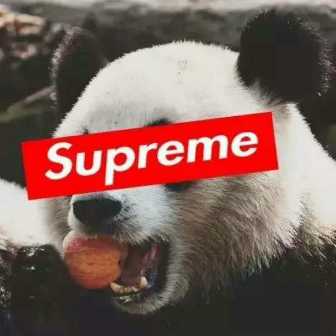 我是萌叔我爱喵