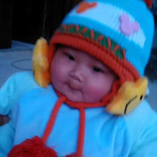 爱吃芝麻煎饼的独角兽