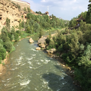 丶胡日鬼捣棒槌