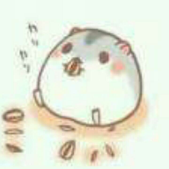 幻想家金鱼群蓉