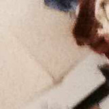 爱吃三丝鱼翅的香草