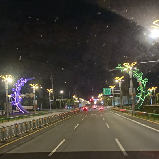 爱吃油酥皮鸭的橘子