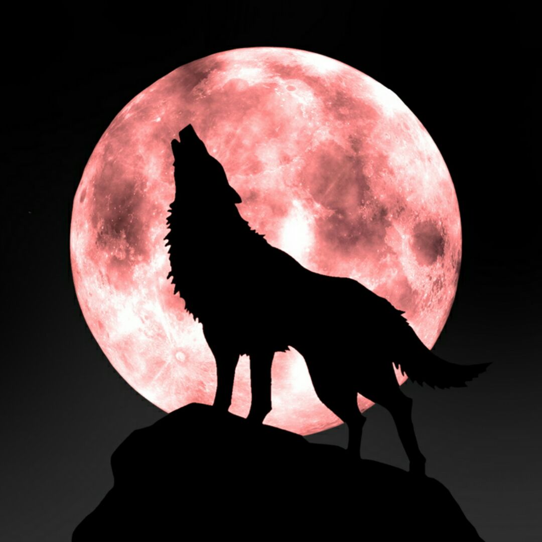 收盘放盘买卖房子