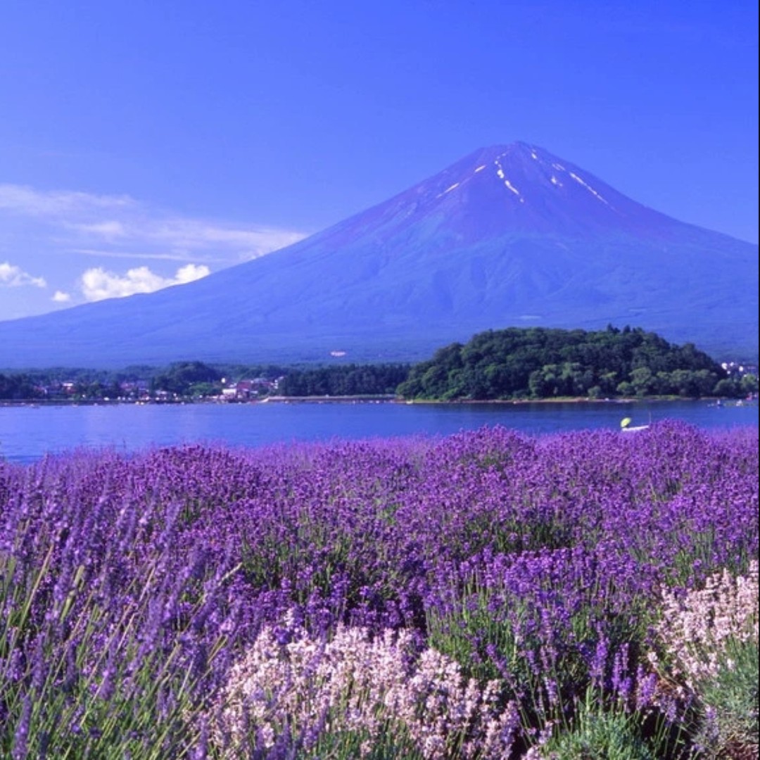 我的世界你不懂yzw