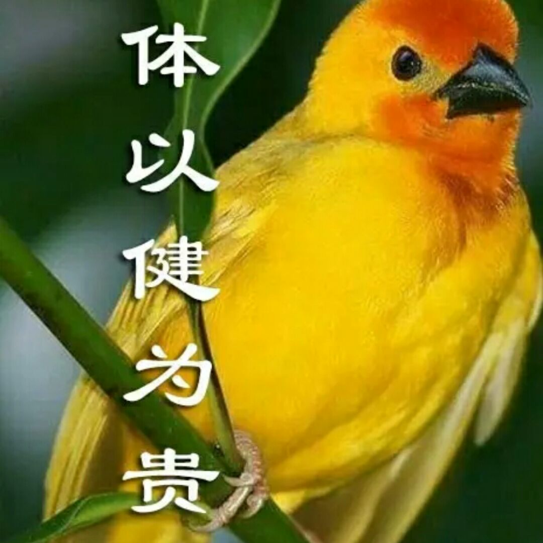 蒋桂战争