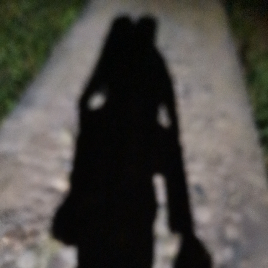 爱吃小米馒头的方块