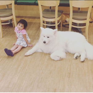 收到想要的就彻底退坑