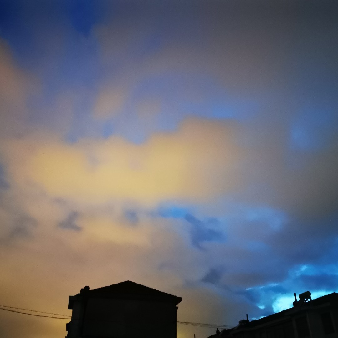 大概是一只肥龙了